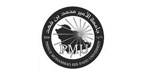 prince mohammed fahad university